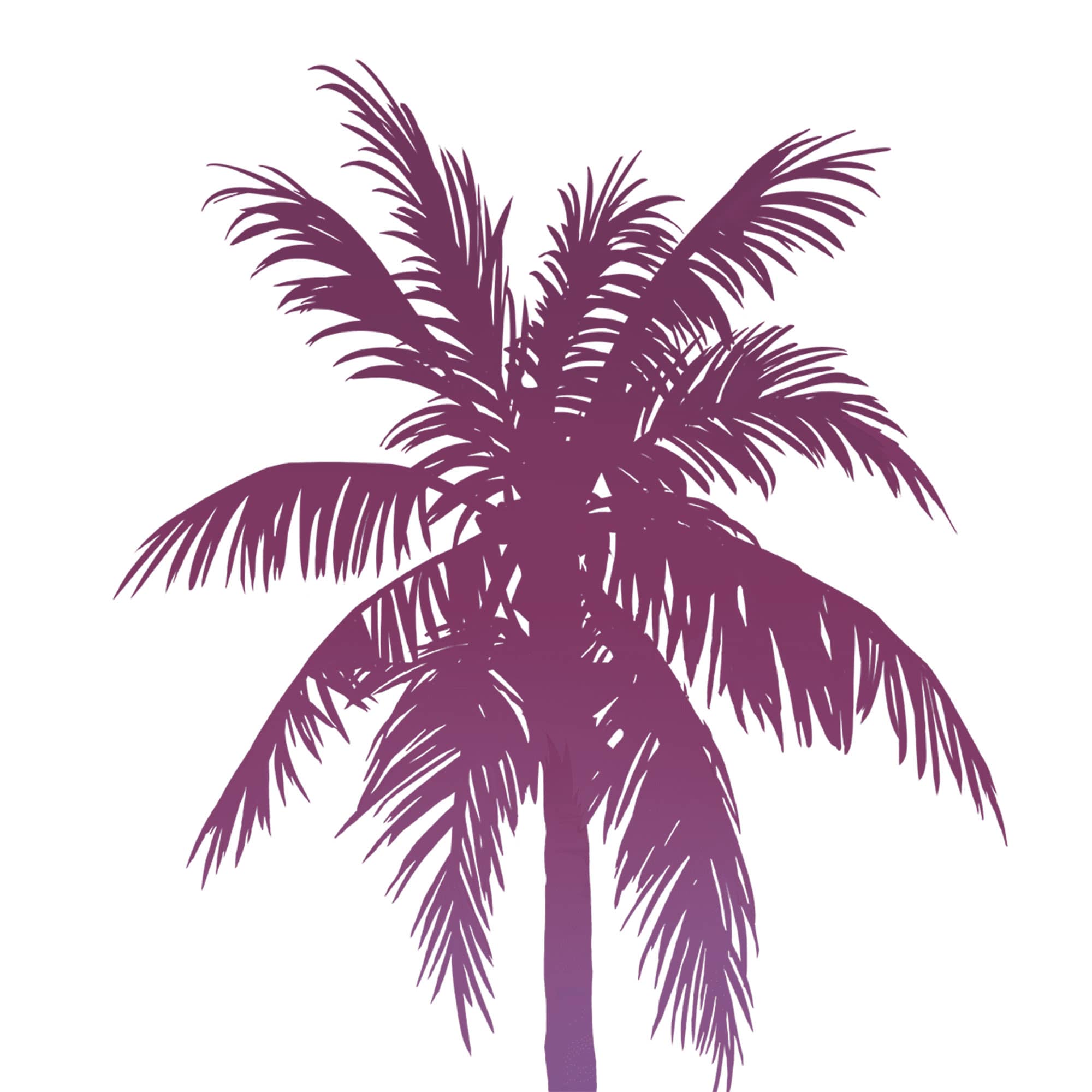 rockstar-games-official-palm-trees-jacket-artwork.jpg